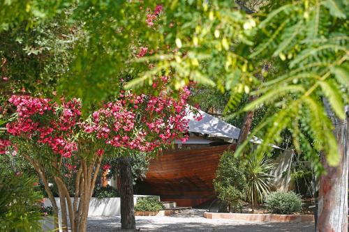 a bunch of pink flowers on trees in a garden at Campo Di Fiori, Maisons de Charme in Calvi