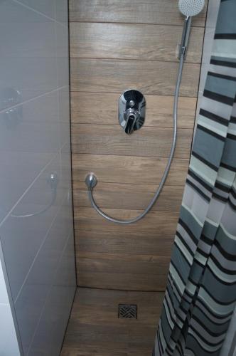 La salle de bains est pourvue d'une douche avec un tuyau. dans l'établissement Apartamenty z klimatem, à Poznań