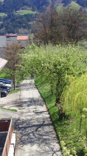 Příroda nedaleko apartmánu