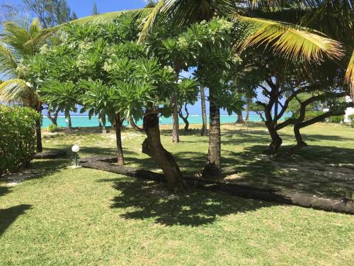 a group of trees in a field with the ocean at Fully furnished luxury villa 3 right on a blue ocean in Belle Mare