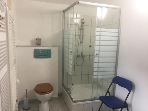La salle de bains est pourvue d'une douche, de toilettes et d'une chaise bleue. dans l'établissement Ferienwohnung Fam.Stecher, à Malschwitz