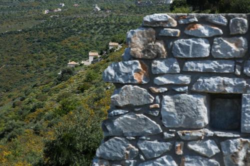 Paisaje cerca of this country house