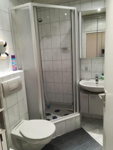 a bathroom with a shower and a toilet and a sink at Ferienwohnung Seegras in Wendtorf