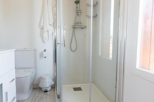 y baño blanco con ducha y aseo. en Cabaña El Mirador, en Pedroso de Acim