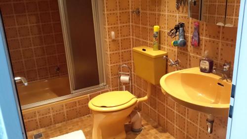 ヴィンターベルクにあるNiedersfeld Polzwegのバスルーム(黄色いトイレ、シンク付)
