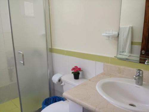 a bathroom with a toilet and a sink and a mirror at Riviera Punta Cana Eco Travelers in Punta Cana