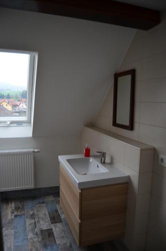 a bathroom with a sink and a window at alte Apotheke in Roßdorf