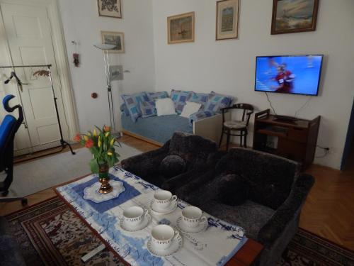 TV a/nebo společenská místnost v ubytování Miraculous Appartement