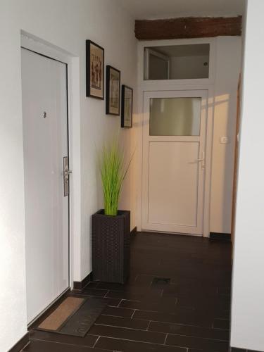 a hallway with a white door and a potted plant at Studio Koper in Koper