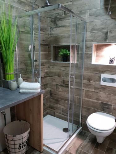 ein Bad mit einer Dusche und einem WC in der Unterkunft Studio Koper in Koper