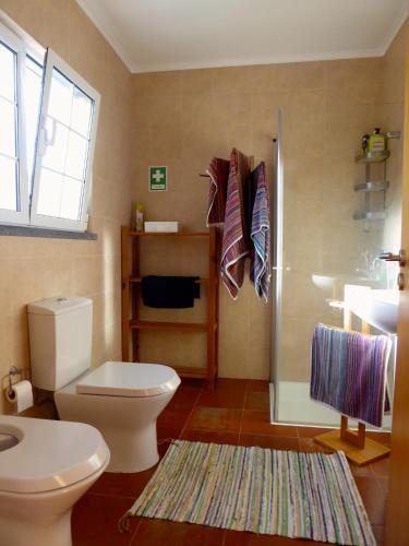 a bathroom with a toilet and a shower and a sink at Azorean Cottage São Jorge in Cais da Urzelina