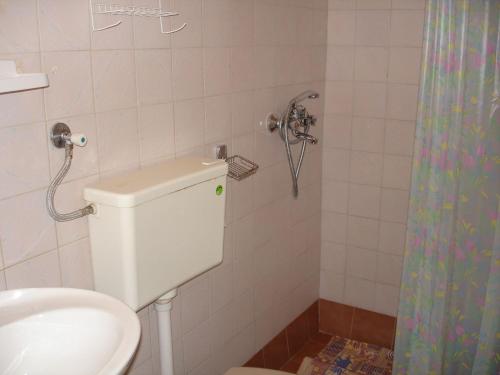 a bathroom with a toilet and a shower at Apartment Lucija in Korčula