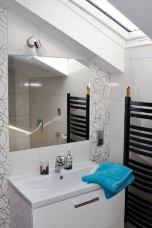 Małastów的住宿－Nocleg w Małastowie，一间带水槽和镜子的浴室