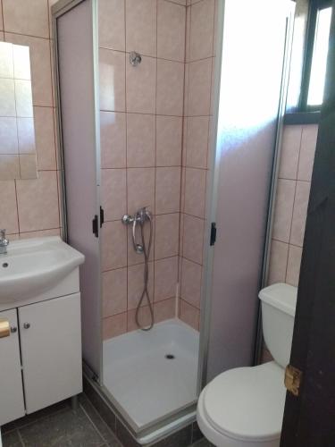 La salle de bains est pourvue d'une douche, de toilettes et d'un lavabo. dans l'établissement nancy, à Pucón