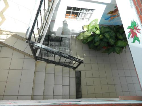 a view from the top of a bathroom with vegetables at Posada Joan Sebastian in Taxco de Alarcón