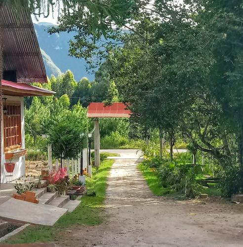 a path leading to a house with a red roof at La Cabaña de Noa in Oxapampa