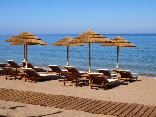 a group of chairs and umbrellas on a beach at Messina Resort Hotel in Kyparissia