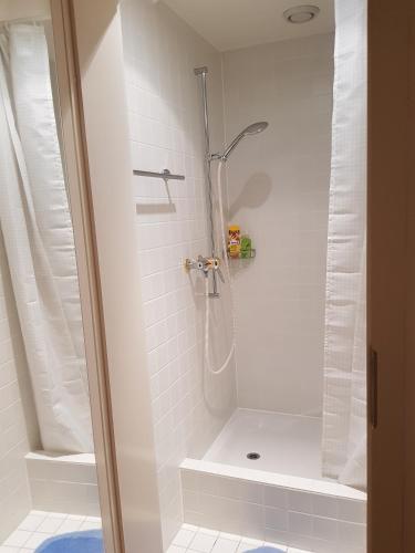 a shower in a bathroom with a glass door at Swiss Dewa in Luzern