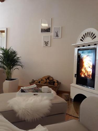 Μια τηλεόραση ή/και κέντρο ψυχαγωγίας στο Ferienhaus Rosenhof