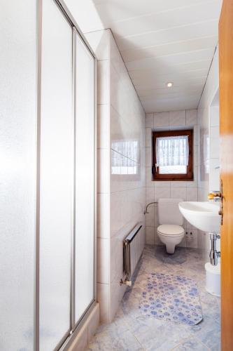 a bathroom with a toilet and a sink at Apart Tyrol in Uderns