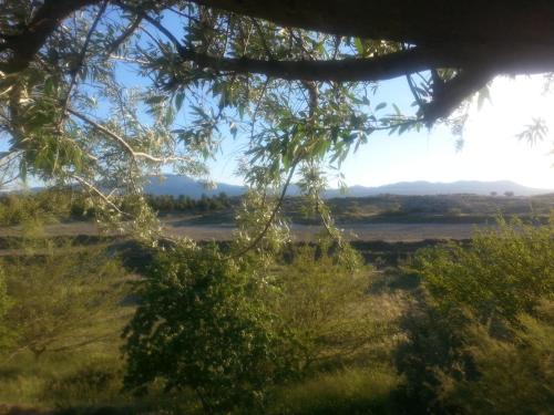 a view of a field from under a tree at Cueva Las Yeseras in Baza