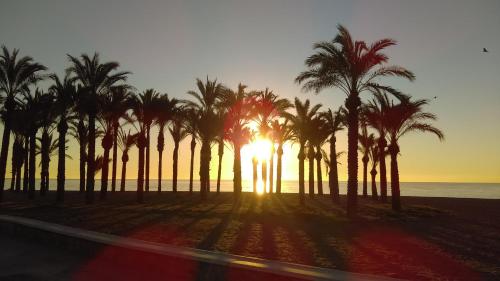 トレモリノスにあるApartamento Torremolinos zona Colinaの夕日の浜辺のヤシの木群