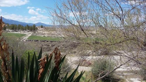 a view of a desert with a cactus at Cueva Las Yeseras in Baza
