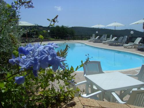 einen Pool mit zwei Stühlen und einer blauen Blume in der Unterkunft Resort Paradise Marina di Camerota in Marina di Camerota