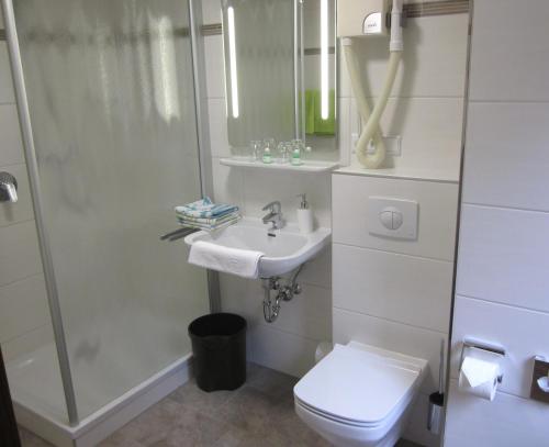 a bathroom with a toilet and a sink and a shower at Gasthof Rodachtal mit Gästehaus Katharina in Schwarzenbach am Wald