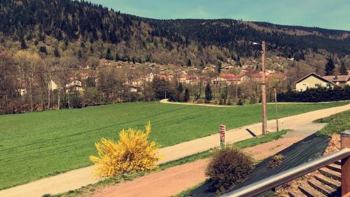 a view of a green field and a road at chalet vosgien in Le Ménil