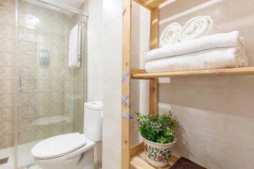 セビリアにあるPrecioso apartamento casco antiguo de Sevilla Castellar 23 bajoのバスルーム(トイレ、シャワー、植物付)