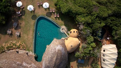 an overhead view of a pool with a large teddy bear at Wild Coast Tented Lodge - Relais and Chateaux - All Inclusive in Yala