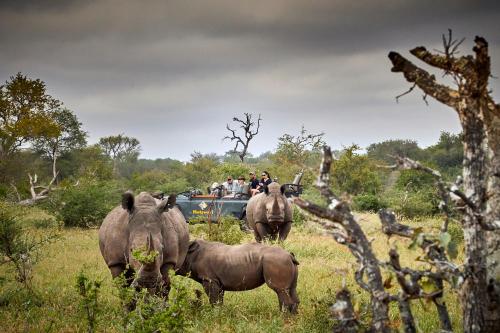 a group of people riding in the back of a group of elephants at Motswari Private Game Reserve by NEWMARK in Timbavati Game Reserve