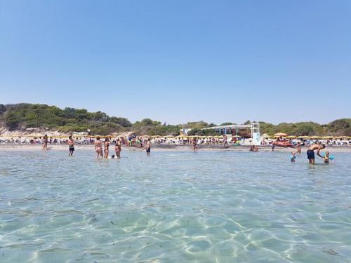 阿里米尼的住宿－Serra Degli Alimini 2，一群人,在海滩上