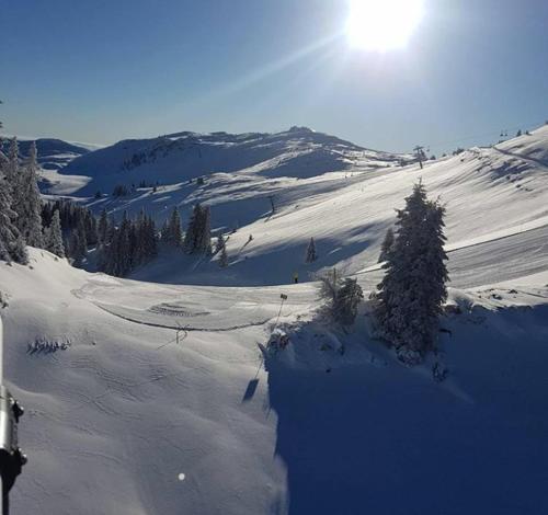 a snow covered slope with a tree and the sun at Apartmani Marija in Jahorina