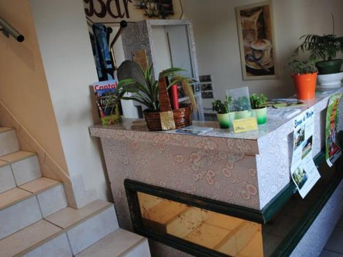a counter with plants on it in a room at Hotel des voyageurs Chez Betty in Neussargues-Moissac