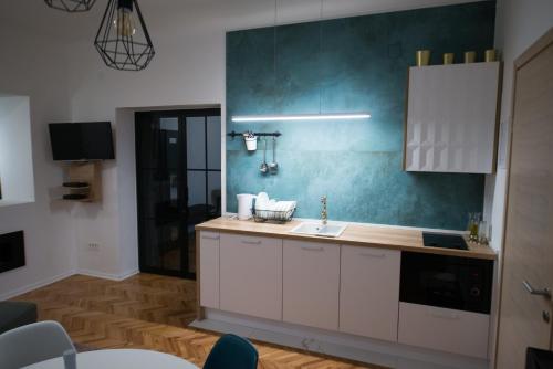 - une cuisine avec un évier et un mur bleu dans l'établissement City Apartments Green Oasis, à Zagreb