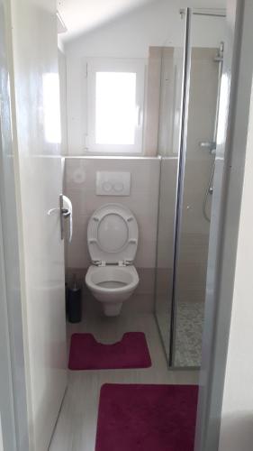 Apartman Zora