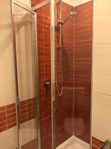 W łazience znajduje się prysznic ze szklanymi drzwiami. w obiekcie La Pachira w Agropoli