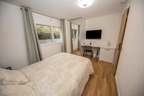 a bedroom with a bed and a desk and a television at Point Cardinal in Geneva