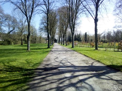 a road in a park with trees and grass at Domaine De Sery in Bouttencourt