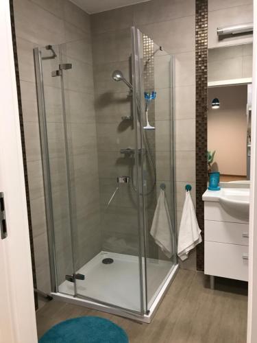 W łazience znajduje się prysznic ze szklanymi drzwiami. w obiekcie Apartament Venezia w Kołobrzegu
