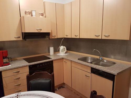 Kuchyň nebo kuchyňský kout v ubytování Duplex apartman Igalo - porodicni