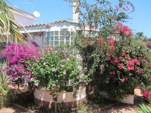a bunch of flowers in front of a house at Sole e Sale B&B in San Cataldo