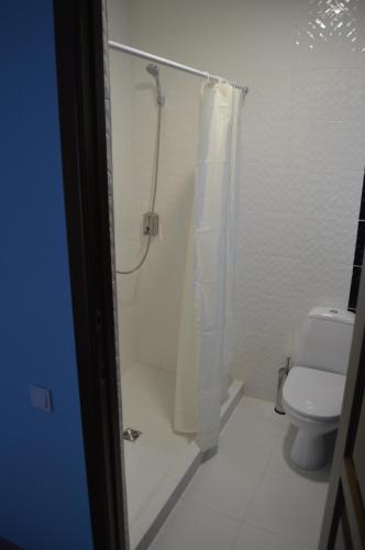 uma casa de banho com um chuveiro e um WC. em Садиба "Мапа" em Berehove