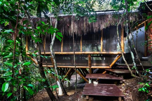 a hut in the jungle with benches and trees at Universo Pol Bamboo Hostel in Morro de São Paulo