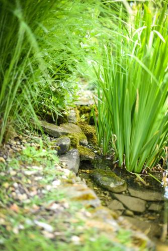 a small pond in a garden with tall grass at Chalupa u Manišov in Laskár
