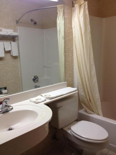 a bathroom with a sink and a toilet and a mirror at Microtel Inn & Suites by Wyndham Lithonia/Stone Mountain in Lithonia