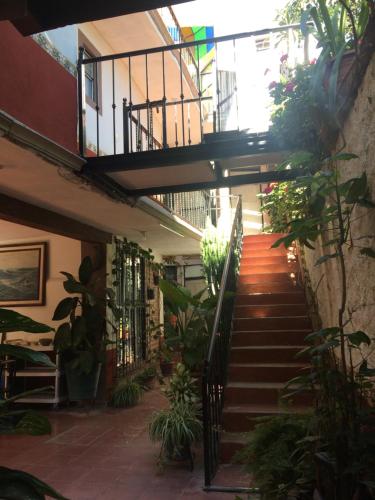 ComonfortにあるHotel Posada Chamacueroの植物の建物の階段