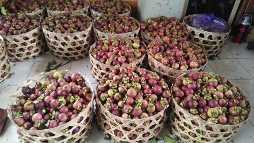 a bunch of baskets of apples sitting on the ground at ESA di Kubu Homestay in Singaraja